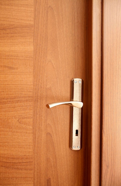 Modern wooden door closeup