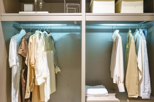 Modern wooden wardrobe with clothes hanging on rail in walk in closet design interior