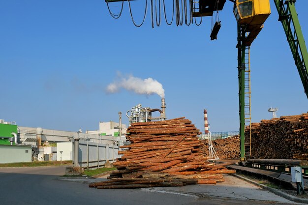 丸太倉庫のモダンな木工工場の眺め