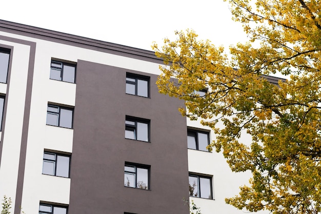 Modern woongebouw met nieuwe appartementen en herfstboom