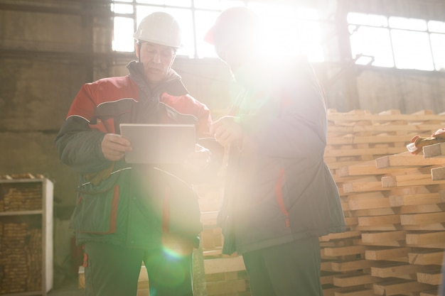 Modern Workers in Sunlight