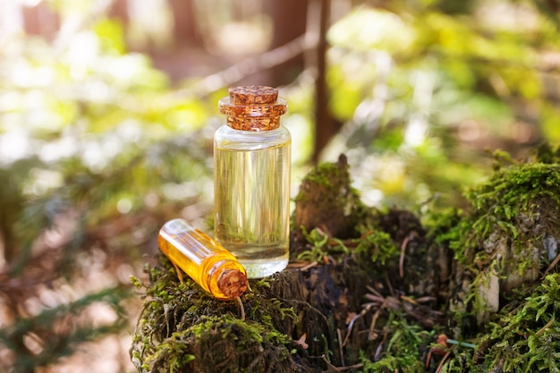 Moderne apotheek. Natuurlijke nette olie op een houten oppervlak in het bos onder sparren.