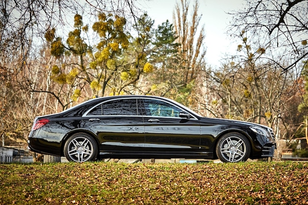 Foto moderne auto rijden door het bos achtergrond luxe stadsauto behang