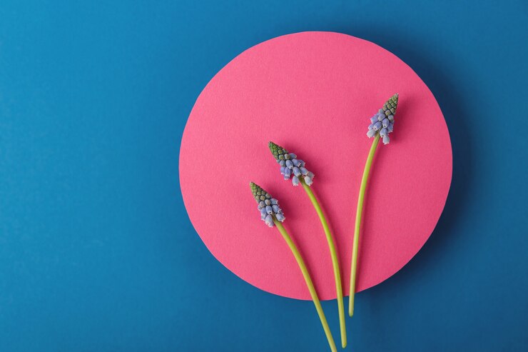 Moderne de lentekaart met blauwe bloemen op roze ronde vorm op blauw