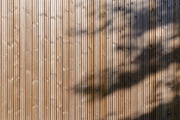 Moderne ecologische houten gevel achtergrond met schaduw van de boom. Houten lambrisering achtergrondstructuur