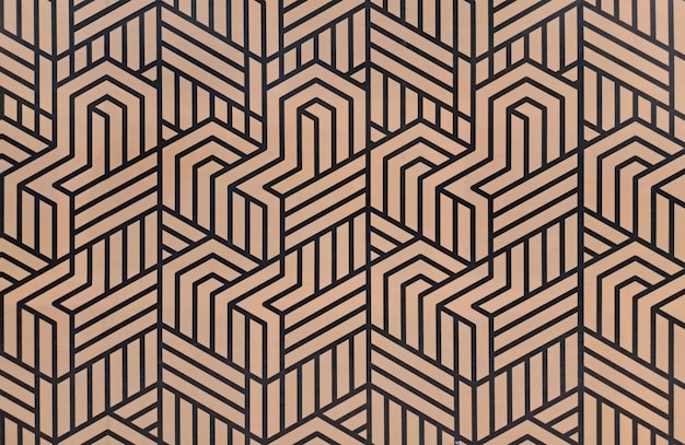 Moderne geometrische schil en stok zeshoekig patroon Zwarte en Gouden zeshoek Geometrische zeshoek