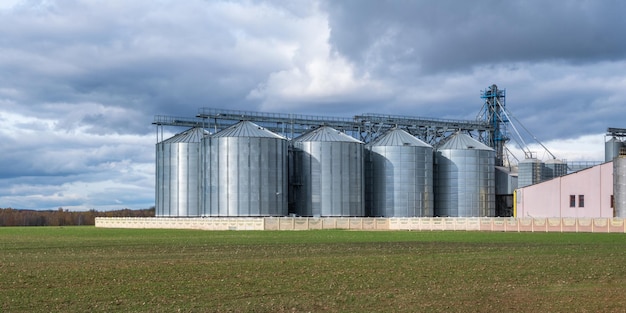 Moderne graanschuurlift en zaadreinigingslijn in zilveren silo's op agroverwerkings- en productiefabriek voor opslag en verwerking droogreiniging van landbouwproducten meel, granen en graan