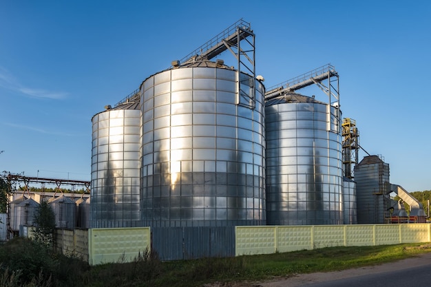 Foto moderne graanschuurlift met zilveren silo's op agroverwerkings- en productiefabriek voor verwerking, droogreiniging en opslag van landbouwproducten, meel, granen en graan