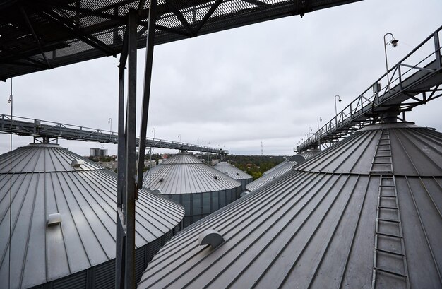 Moderne graanterminaltanks van lift Graandroogopslag Commerciële zaadsilo's voor gewassen: