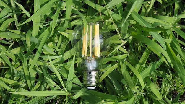 Moderne groene led-lamp in het gras