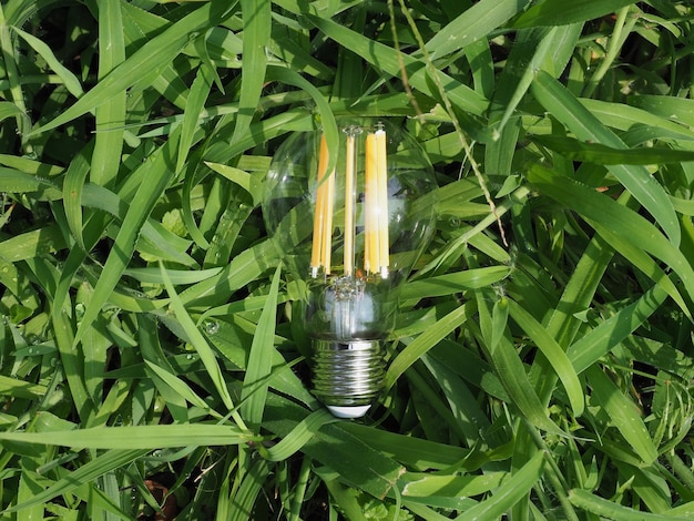 Moderne groene led-lamp in het gras