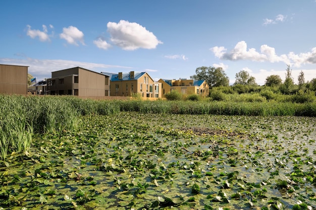 Moderne huizen in Tartu Estland met moeras begroeid met waterleliewaterplanten op de voorgrond