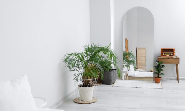 Moderne interieur met grote stijlvolle spiegel met tropische planten