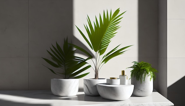 Moderne minimale lege witte marmeren stenen aanrechtblad palmboom in zonlicht
