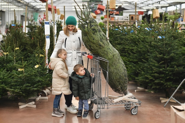 Moeder en kinderen kiezen een kerstboom op een markt