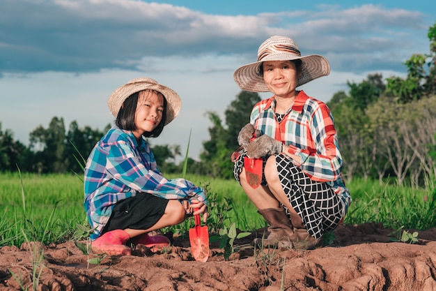 Moeder en kinderen planten de boom op vuil op rijstveld en blauwe hemelachtergrond