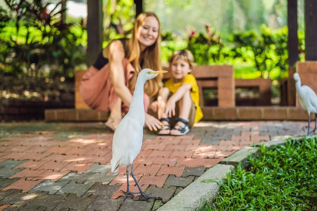 Moeder en zoon kijken naar kleine zilverreiger Koereiger Bubulcus ibis Waters Edge Familie brengt samen tijd door in het park