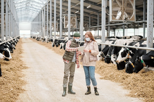 Moeder en zoon met beschermende maskers die digitale tablet gebruiken tijdens het bespreken van het schema voor het melken van koeien op de boerderij