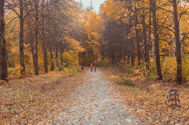 Moeder en zoon wandelen in het herfstpark en genieten van de prachtige herfstnatuur. Seizoen, alleenstaande ouder en kinderen concept.