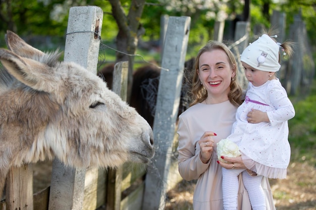 Moeder met een dochtertje voedt een ezel Een vrouw met een kind op een boerderij