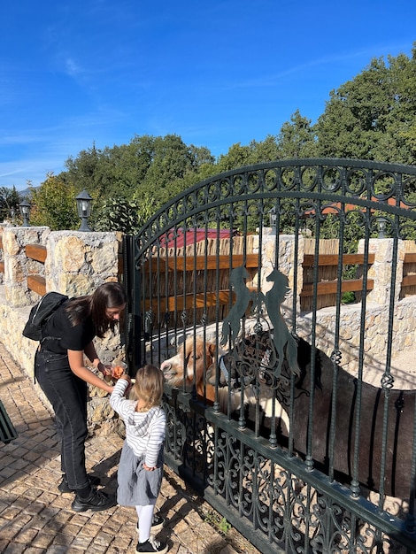 Moeder met een klein meisje dat een pony voedt achter een metalen hek in het park