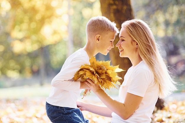 Moeder met zoon rust uit in een prachtig herfstpark op een zonnige dag.