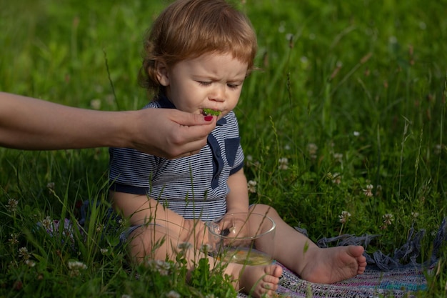 Moeders hand voedende baby met een lepel buiten op groen gras