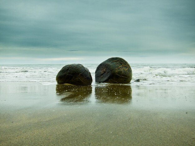 Photo moeraki boulder east coast of south new zealand