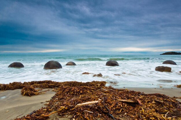 Moeraki Boulder East Coast of south New Zealand