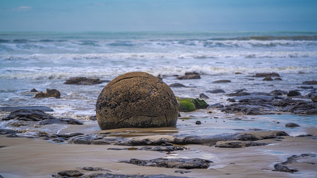Photo moeraki boulders in new zealand