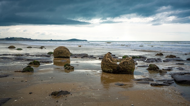 Photo moeraki boulders in otago coast, new zealand