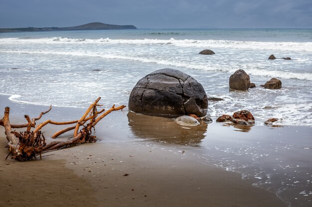 Photo moeraki boulders in the southern island of new zealand