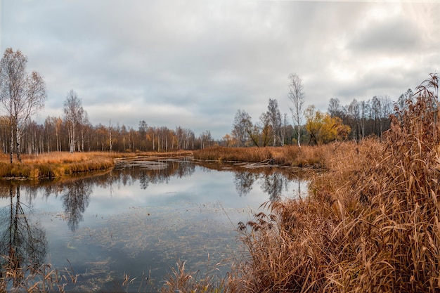 Moeras in het noorden in de herfst.