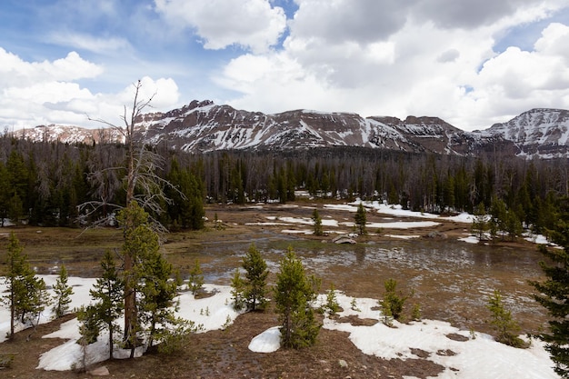 Moerasland omgeven door bergen en bomen in een amerikaans landschap