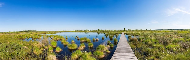 Foto moeraslandschap hoge venen hoge venen panorama