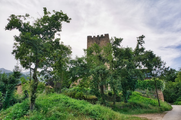 モグロベホ、cantabria.spain