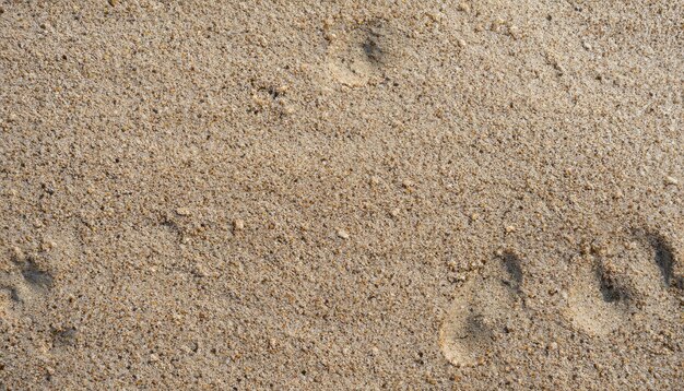 Moist sand as texture or background