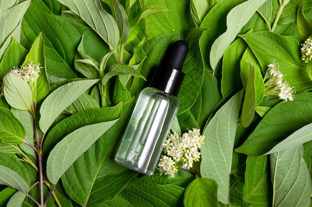 緑の葉を背景にガラスの瓶に保湿フェイスクリーム。顔と体の化粧品。自然化粧品のコンセプト