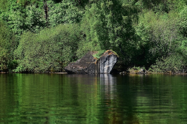 Mokhovoe-meer in de bergen. Aard van de berg Kolyvan. Kraj Altaj, Rusland. Landschap met bergen.