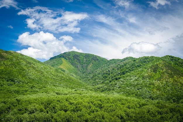 Moky Mountains Landscape