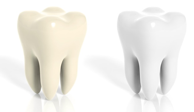 大臼歯白と黄色の白い背景で隔離
