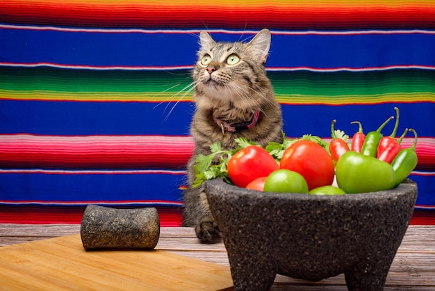 Molcajete with vegetables on wooden table Ingredients for a hot sauce Cat on the table