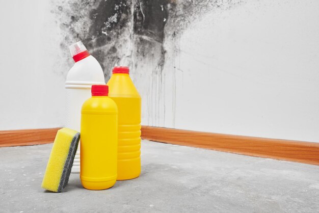 Mold. Aspergillus. Detergents, household gloves, a sponge, a bucket on a white wall background with a black fungus.