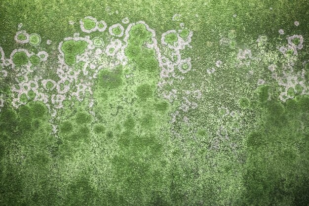 Mold background