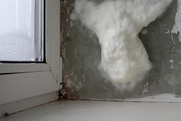 Mold on the inner wall of the window in the house