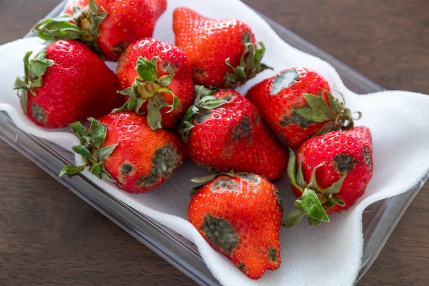 Mold on strawberries