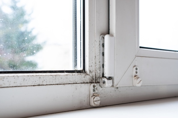 Mold on the window in the house. the problem of\
ventilation