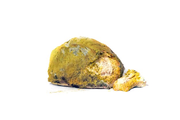 Moldy bread on white background