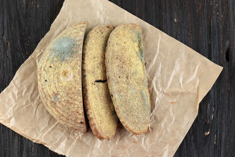 Premium Photo Moldy Fungus On Rotten Bread Slice Of Spoiled Bread Premium Photo Moldy Fungus On Rotten Bread Slice Of Spoiled Bread