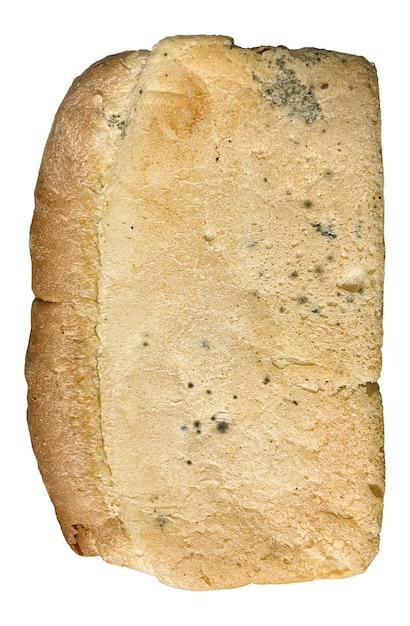 Moldy loaf of white bread on a white background